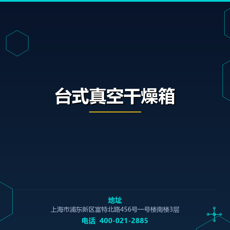 台式真空干燥箱 None
