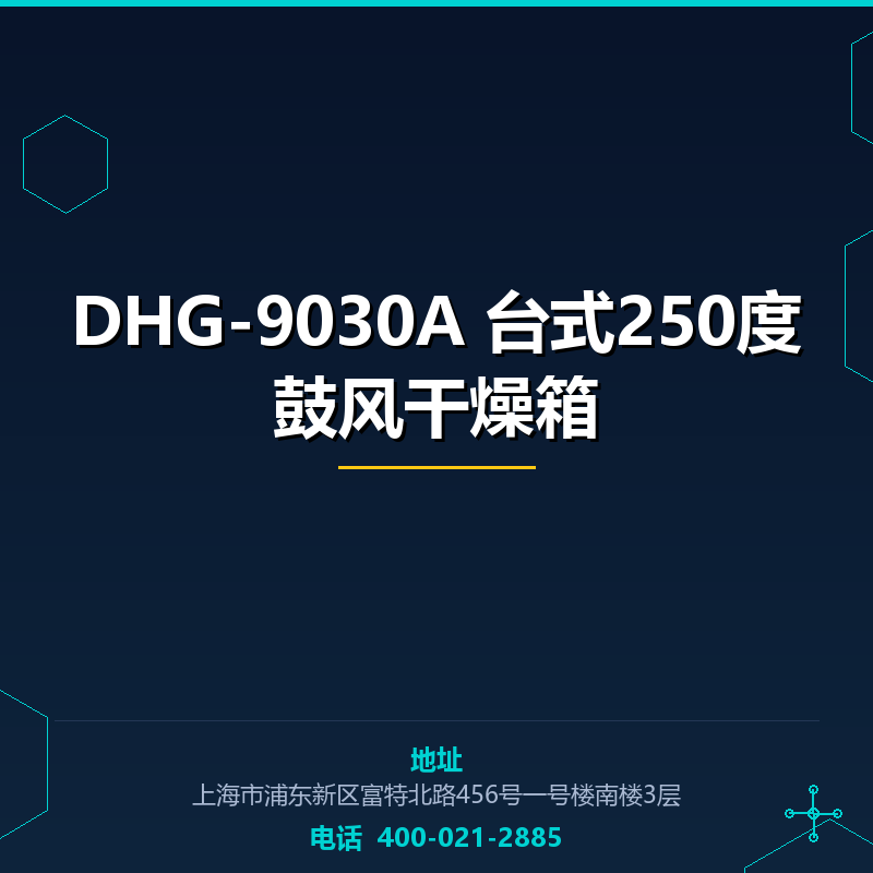 DHG-9030A 台式250度鼓风干燥箱 None