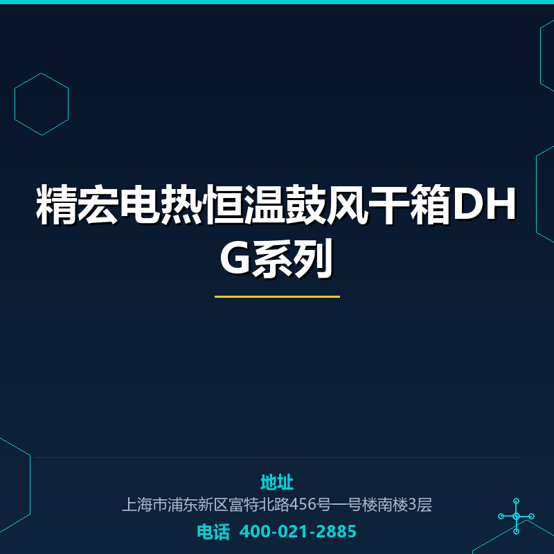 精宏电热恒温鼓风干箱DHG系列 None