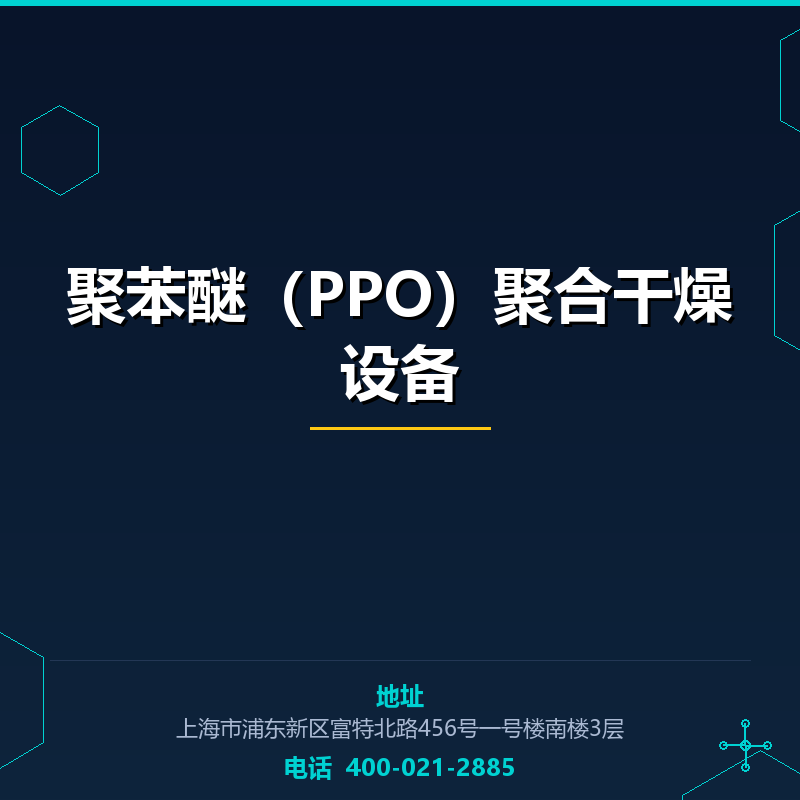 聚苯醚（PPO）聚合干燥设备 None