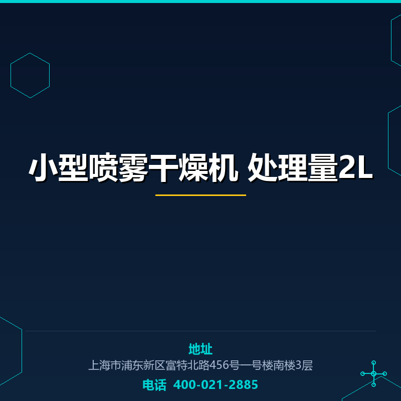 小型喷雾干燥机 处理量2L None