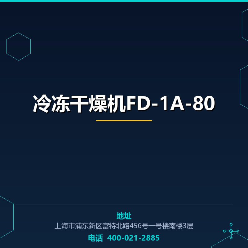 冷冻干燥机FD-1A-80 None
