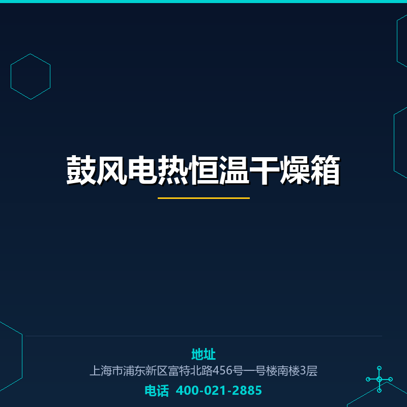 鼓风电热恒温干燥箱 None