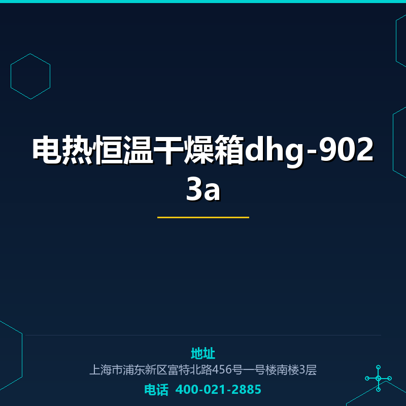 电热恒温干燥箱dhg-9023a None