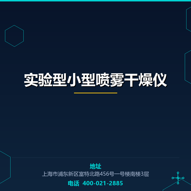 实验型小型喷雾干燥仪 None