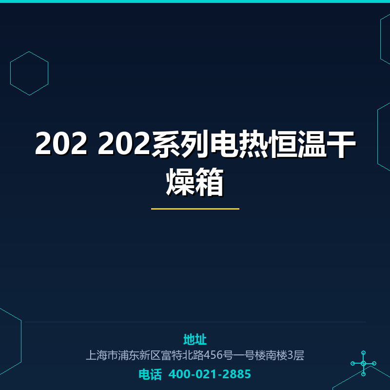 202 202系列电热恒温干燥箱 None