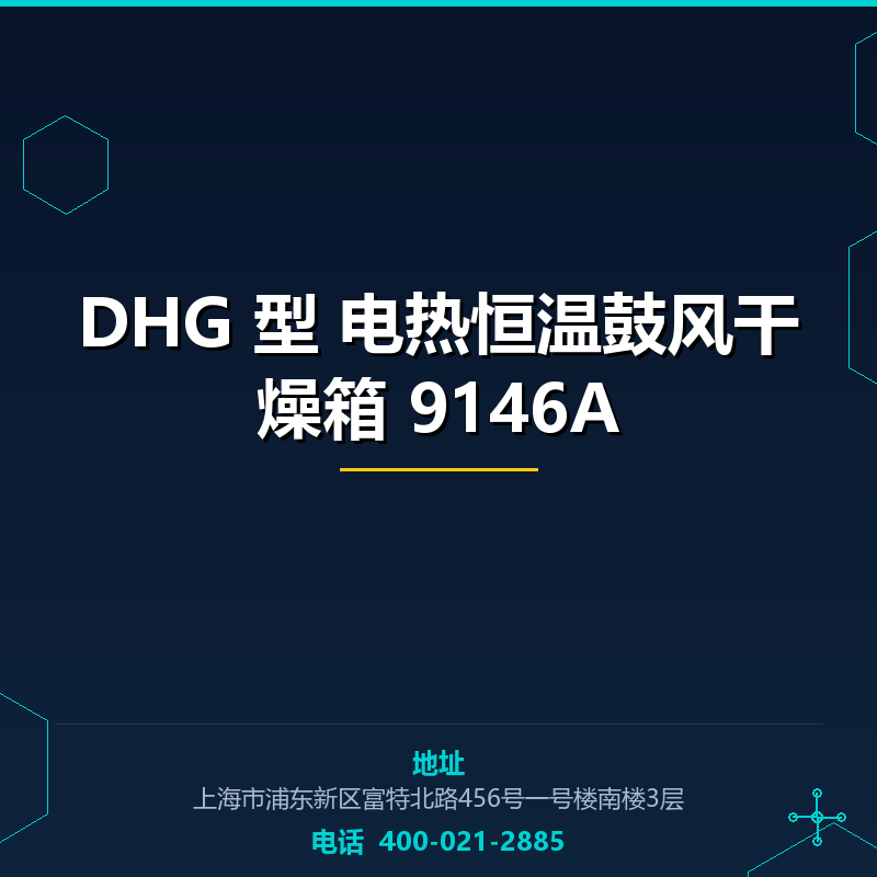 DHG 型 电热恒温鼓风干燥箱 9146A None