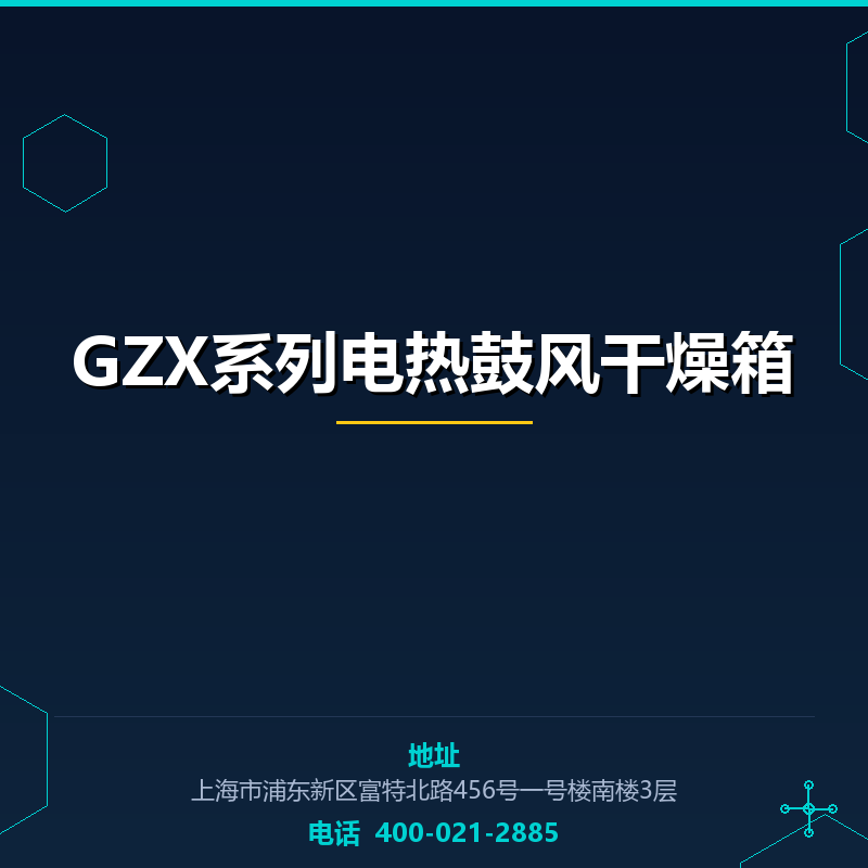 GZX系列电热鼓风干燥箱 None