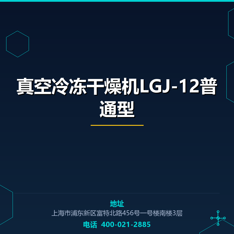 真空冷冻干燥机LGJ-12普通型 None