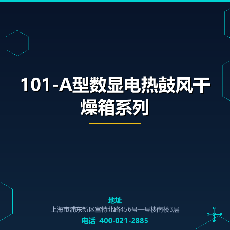 101-A型数显电热鼓风干燥箱系列 None