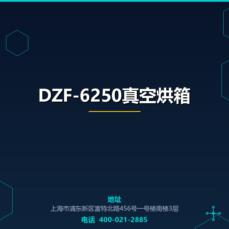 DZF-6250真空烘箱 None