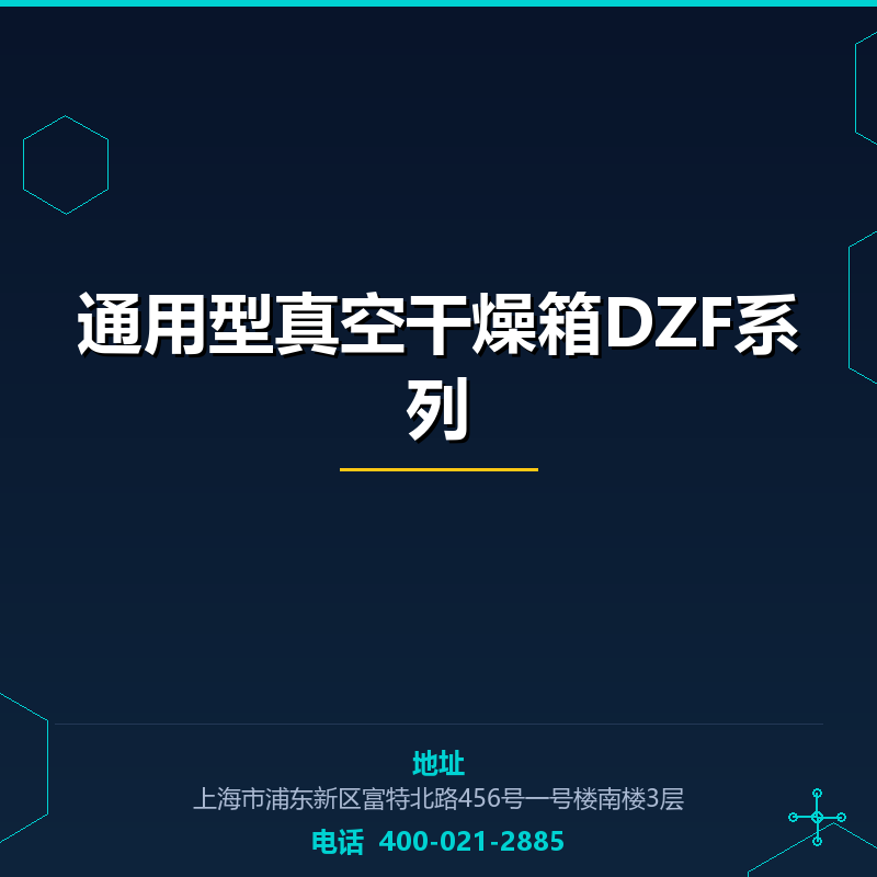 通用型真空干燥箱DZF系列 None