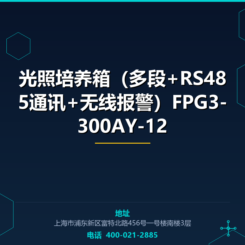 光照培养箱（多段+RS485通讯+无线报警）FPG3-300AY-12 None