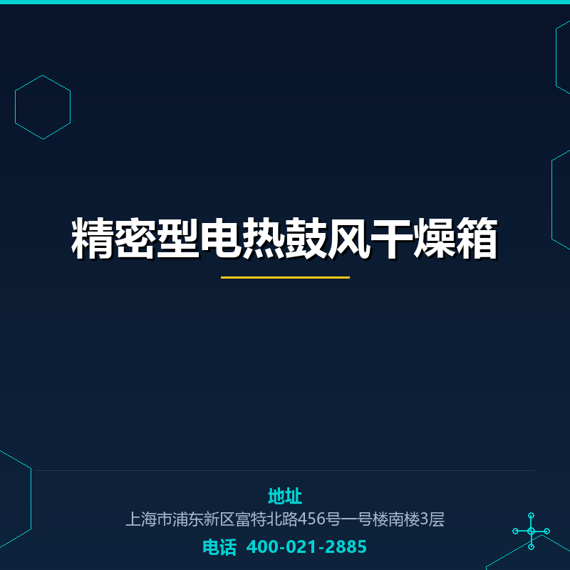 精密型电热鼓风干燥箱 None