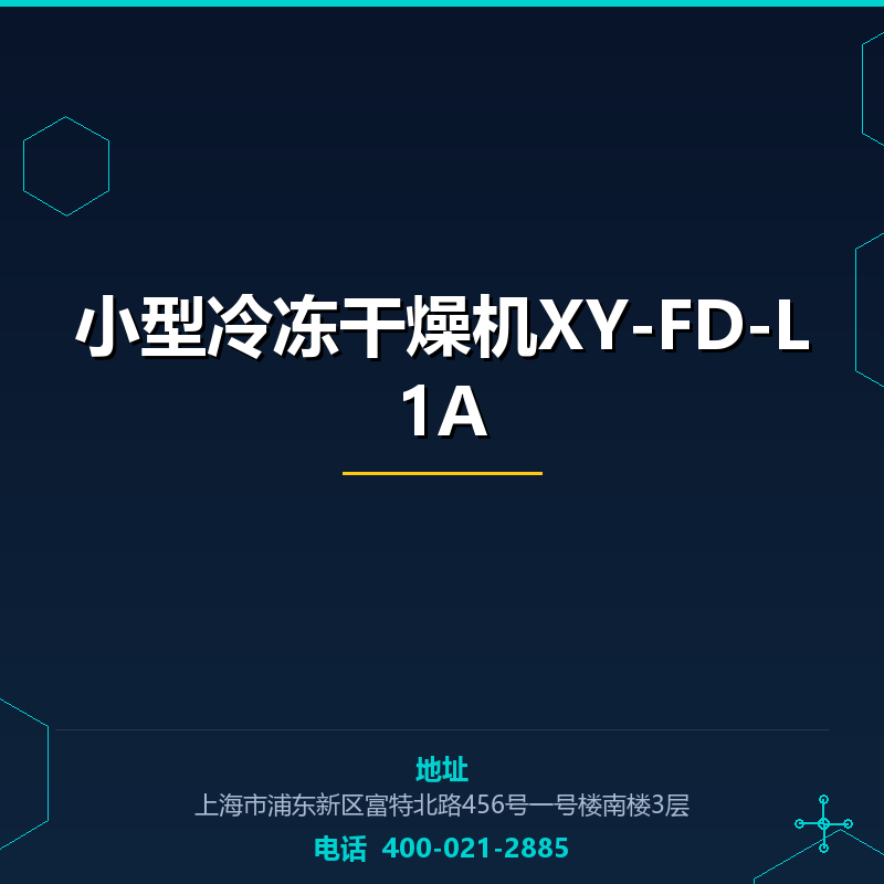 小型冷冻干燥机XY-FD-L1A None