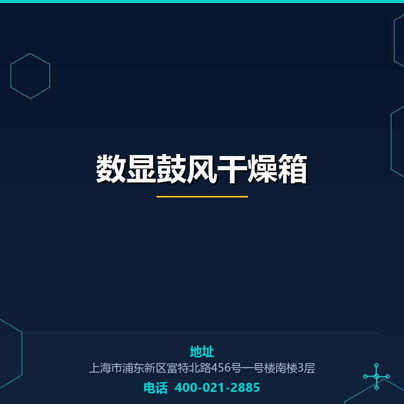 数显鼓风干燥箱 None