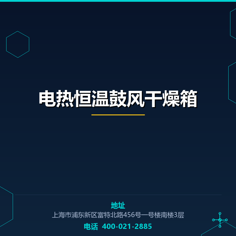 电热恒温鼓风干燥箱 None