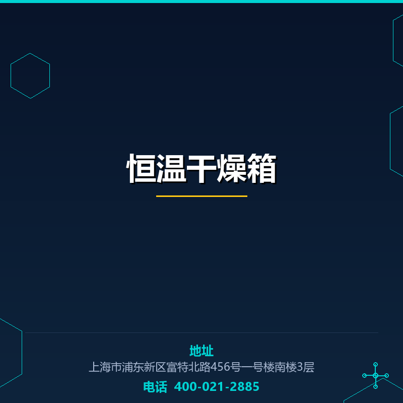 恒温干燥箱 None