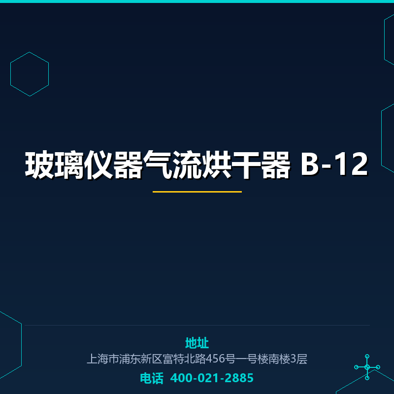 玻璃仪器气流烘干器 B-12 None