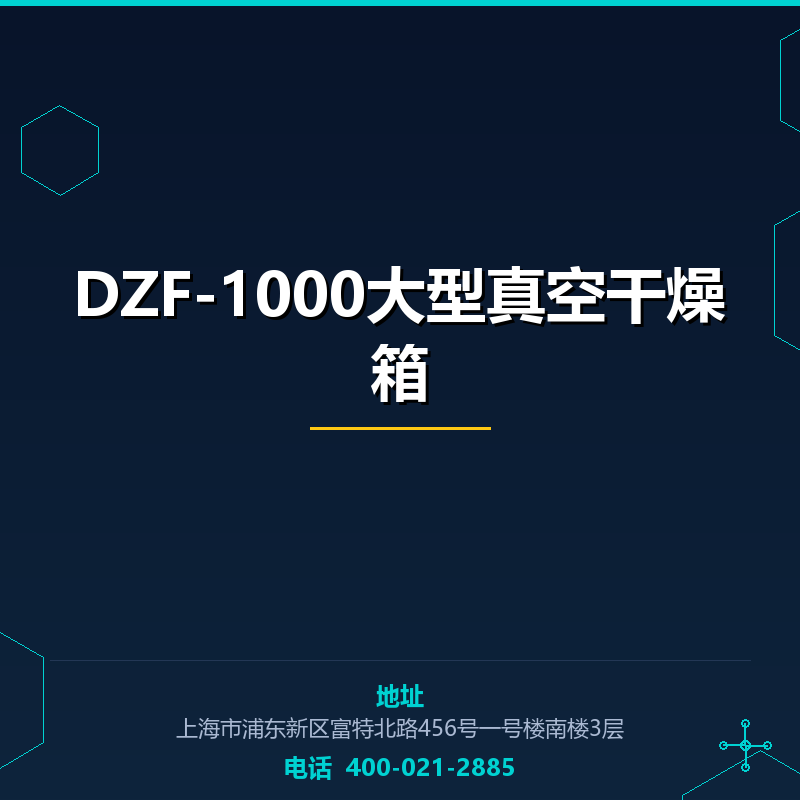 DZF-1000大型真空干燥箱 None
