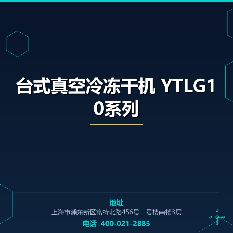 台式真空冷冻干机 YTLG10系列 None