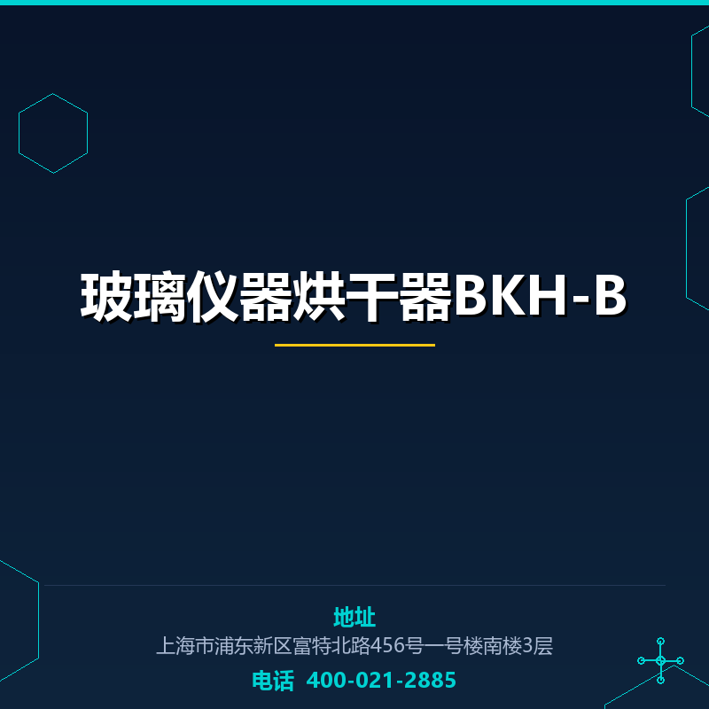 玻璃仪器烘干器BKH-B None