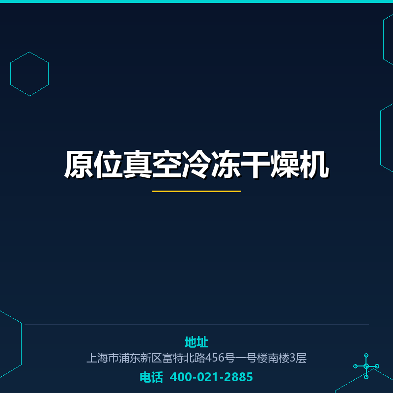 原位真空冷冻干燥机 None