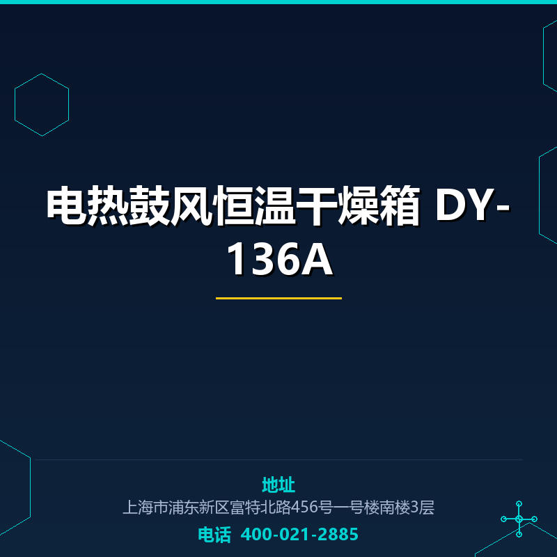 电热鼓风恒温干燥箱 DY-136A None