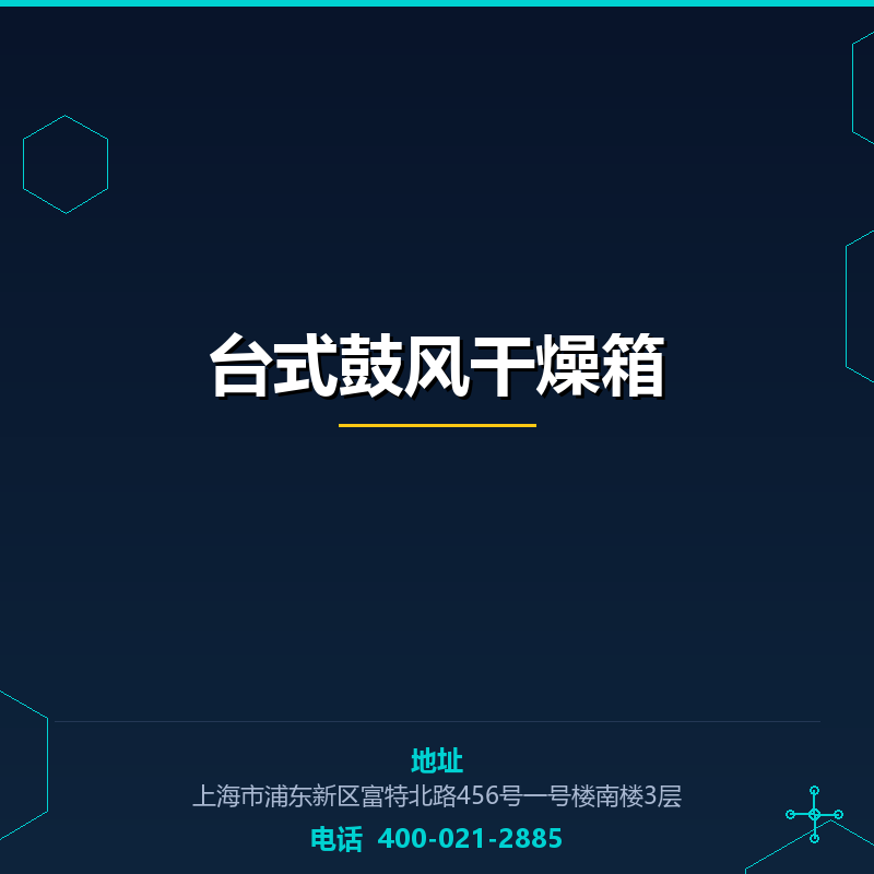台式鼓风干燥箱 None
