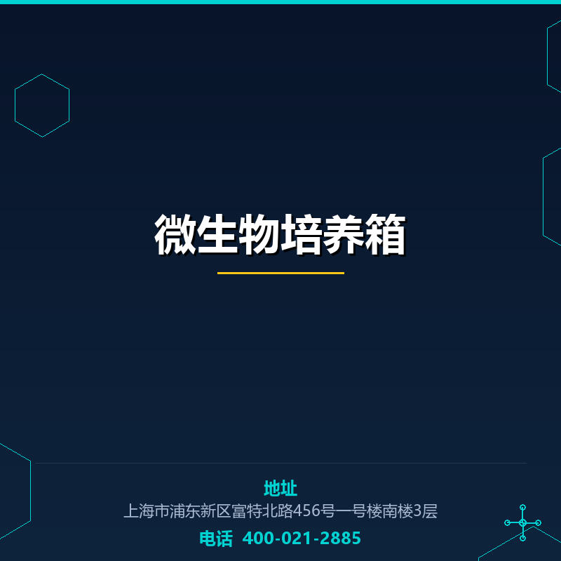 微生物培养箱（实用型） None
