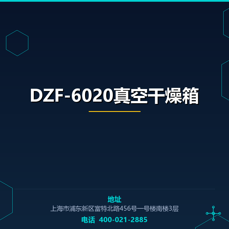 DZF-6020真空干燥箱 None