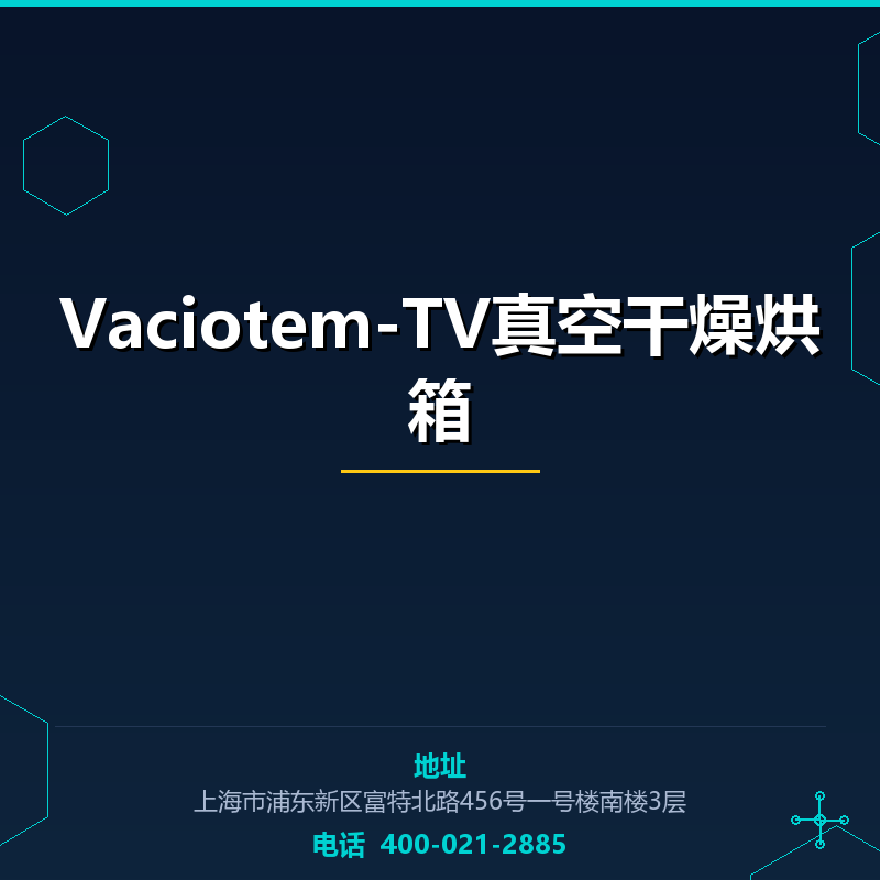 Vaciotem-TV真空干燥烘箱 None