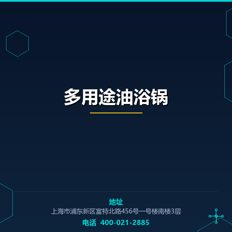 多用途油浴锅 None