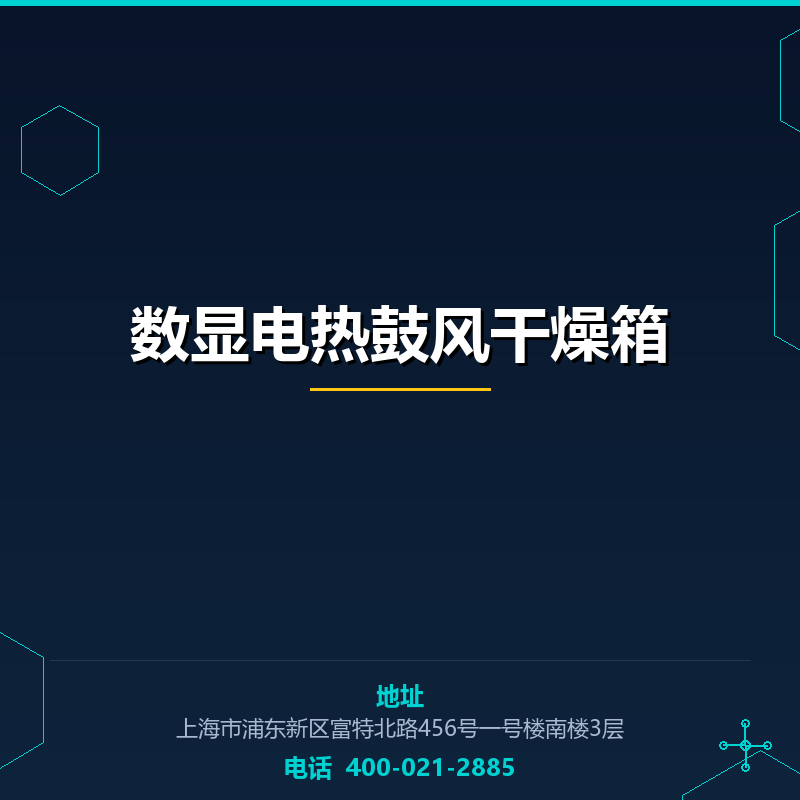 数显电热鼓风干燥箱（101系列） None