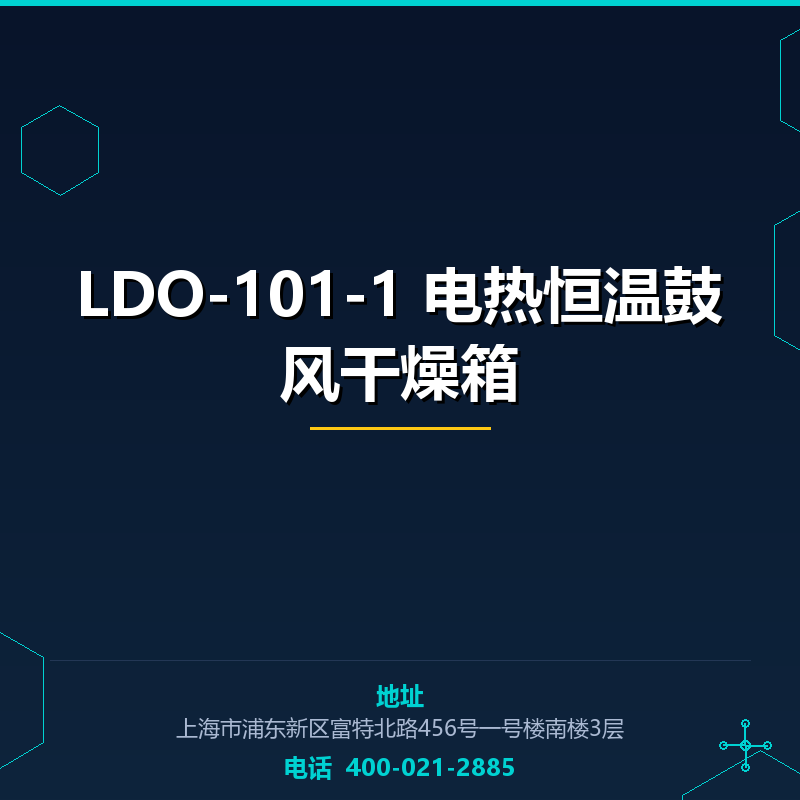 LDO-101-1 电热恒温鼓风干燥箱 None