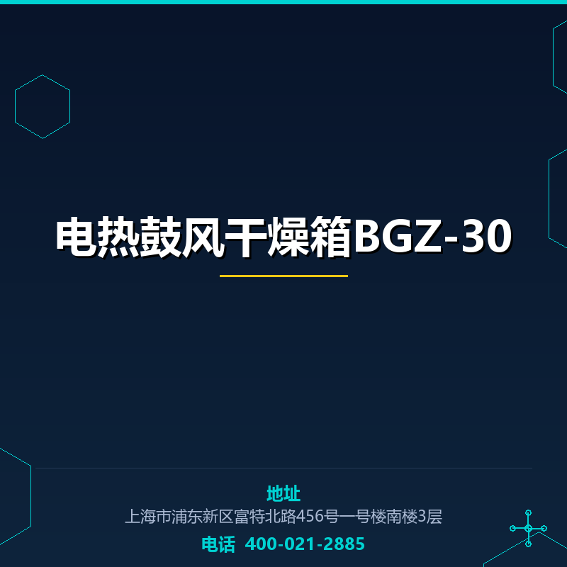 电热鼓风干燥箱BGZ-30 None
