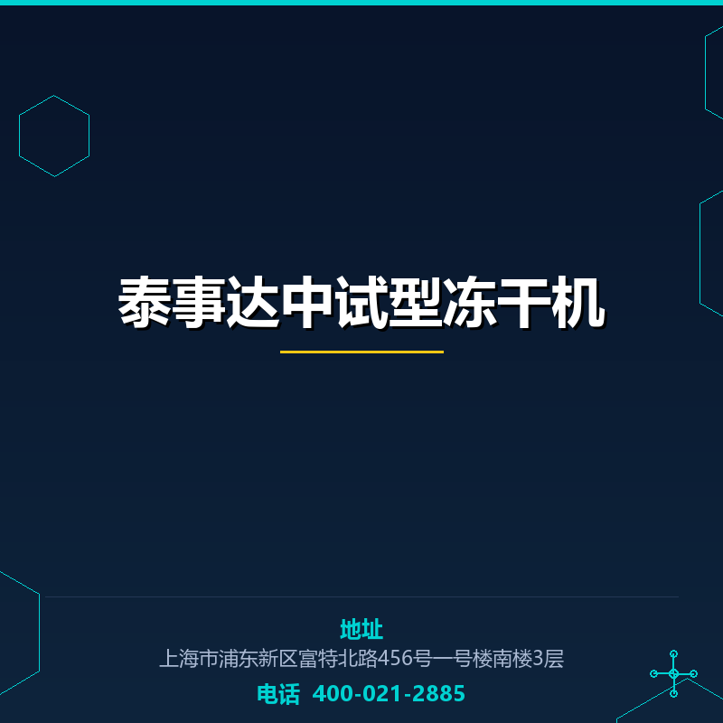 泰事达中试型冻干机 None