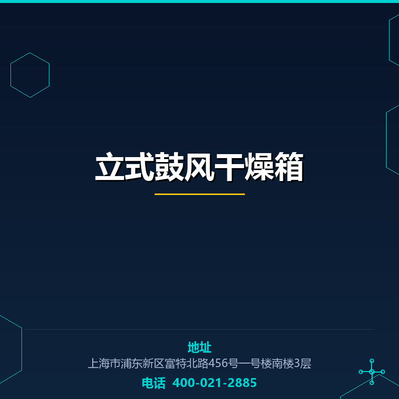 立式鼓风干燥箱 None