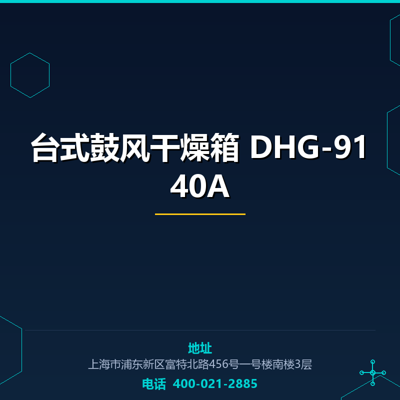台式鼓风干燥箱 DHG-9140A None