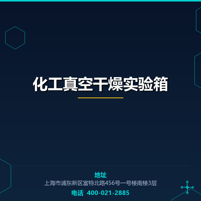 化工真空干燥实验箱 None