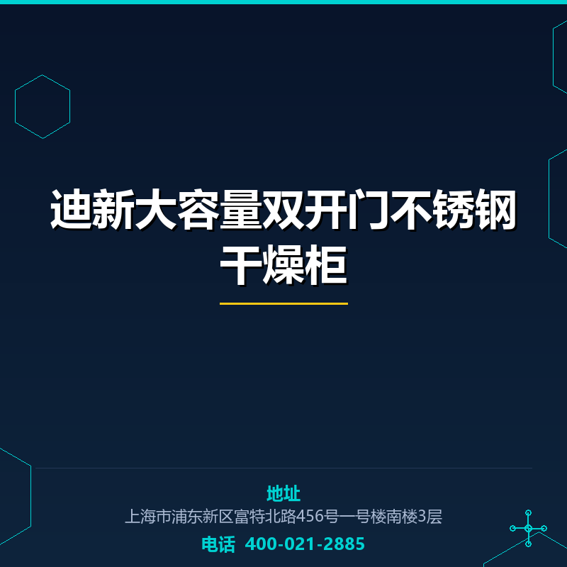 迪新大容量双开门不锈钢干燥柜 None