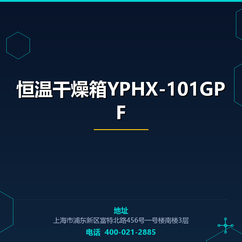 恒温干燥箱YPHX-101GPF None