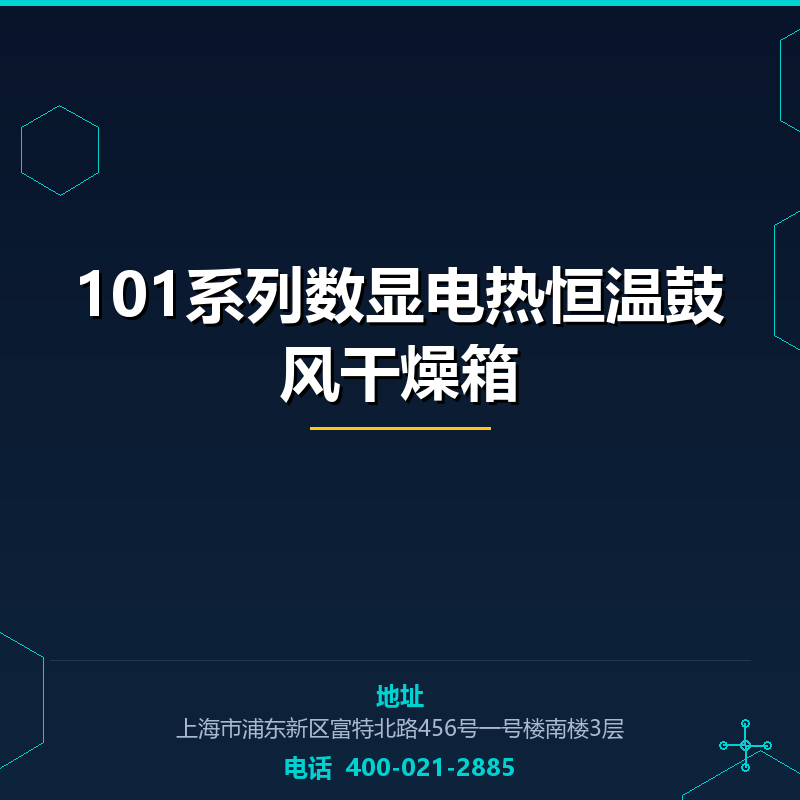 101系列数显电热恒温鼓风干燥箱 None