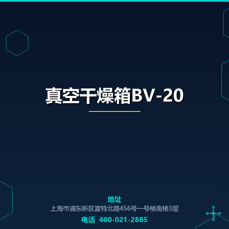 真空干燥箱BV-20 None