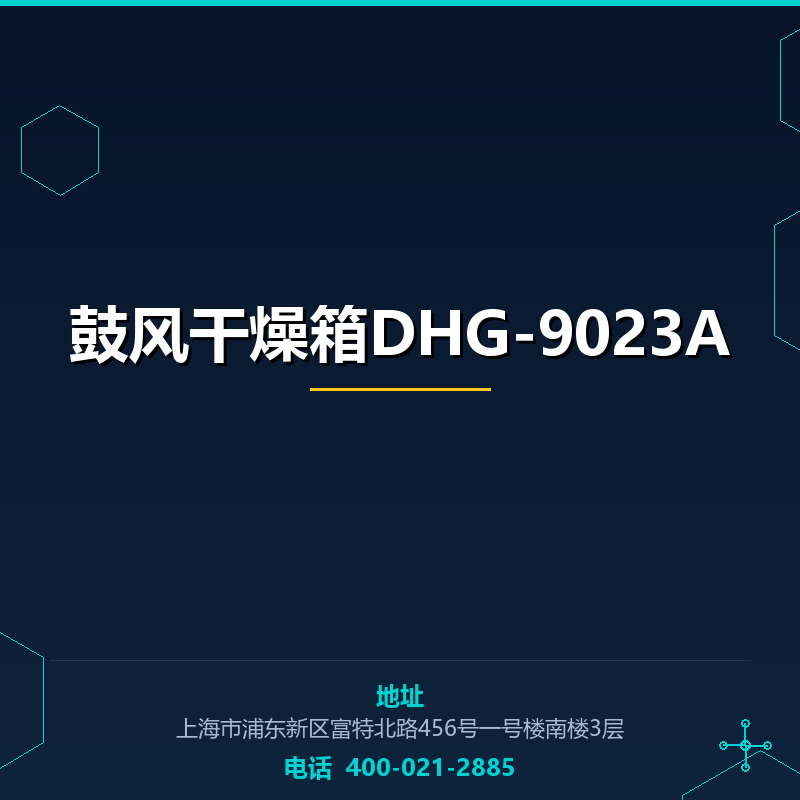 鼓风干燥箱DHG-9023A None