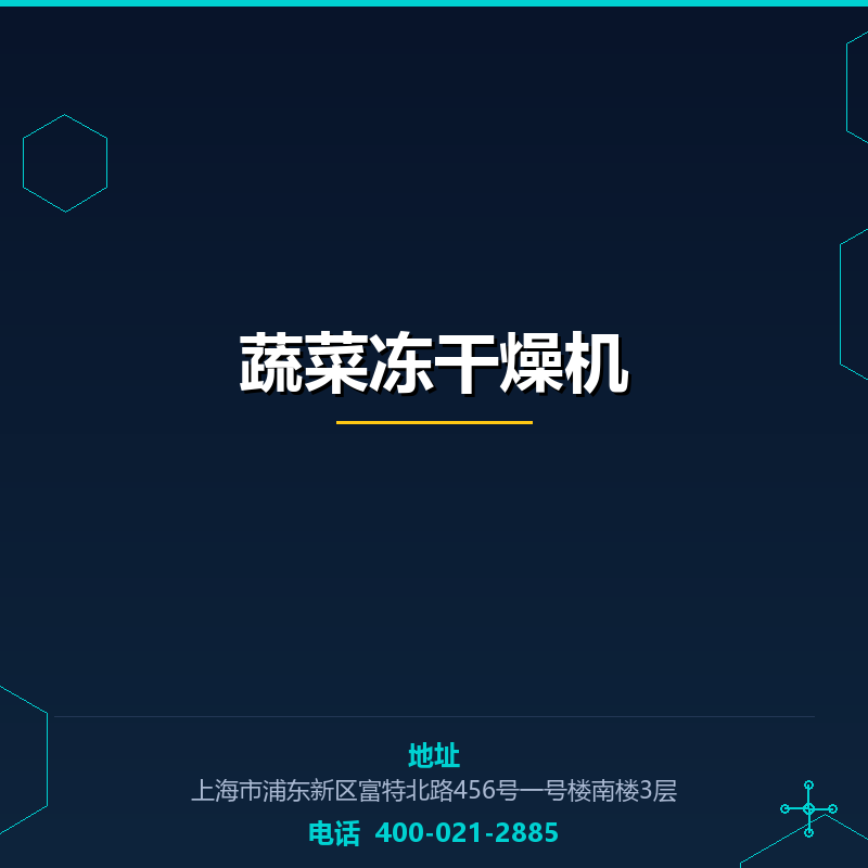 蔬菜冻干燥机 None