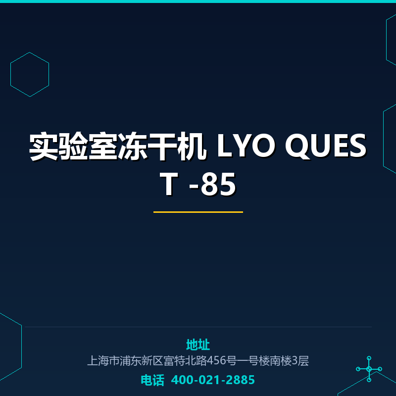 实验室冻干机 LYO QUEST -85 None