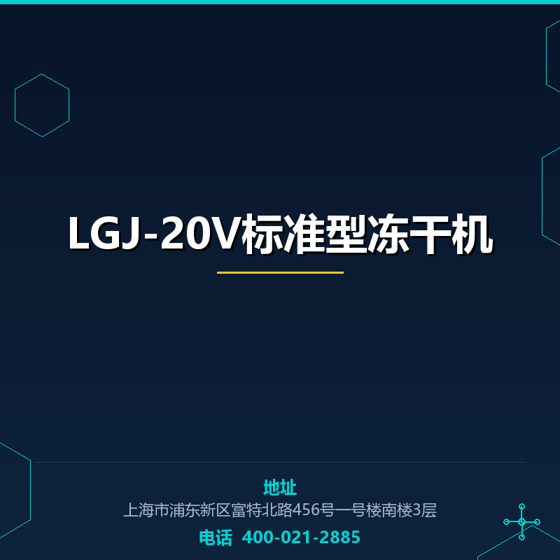 LGJ-20V标准型冻干机 None