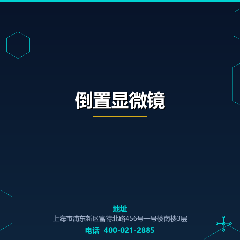 倒置显微镜 None