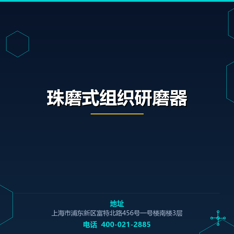 珠磨式组织研磨器 None